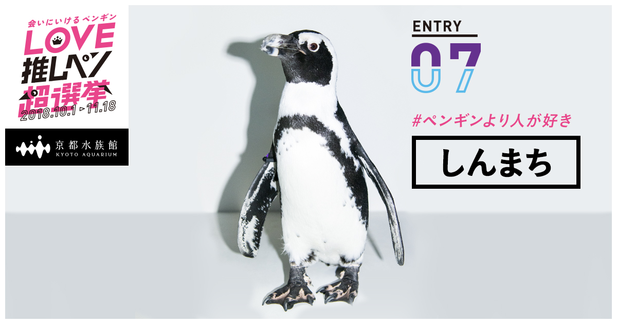 君の推しペンはどの子だ？『LOVE推しペン超選挙」開催！！ | 京都水族館