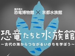 古代と現存するいきものの歴史や進化について楽しく学べます