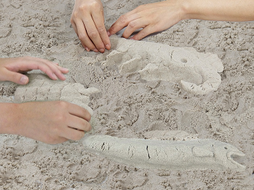 新感覚の砂で、古代のいきものを作ってみよう。
