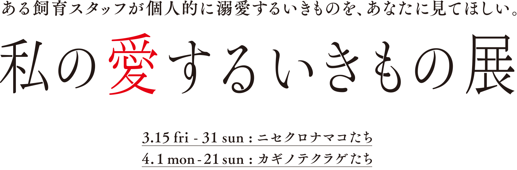 私の愛するいきもの展 3.15 - 31：ニセクロナマコたち　4.1 - 21：カギノテクラゲたち