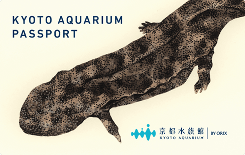 ご利用料金・年間パスポート | 梅小路京都西駅からすぐ「京都水族館