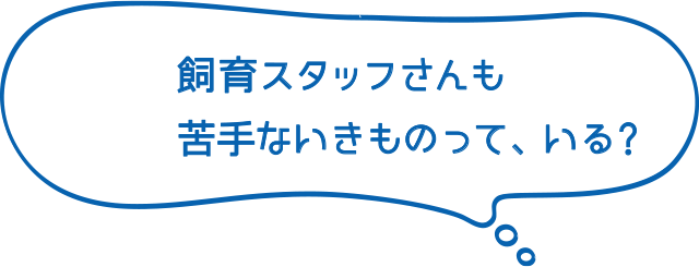 飼育スタッフさんも苦手ないきものって、いる？