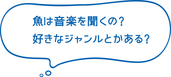 魚は音楽を聞くの？好きなジャンルとかある？