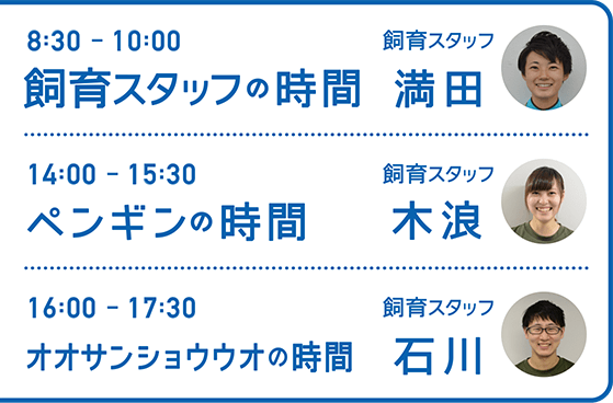 8:30-10:00 飼育スタッフの時間 飼育スタッフ 満田・14:00-15:30 ペンギンの時間 飼育スタッフ 木浪・16:00-17:30 オオサンショウウオの時間 飼育スタッフ 石川