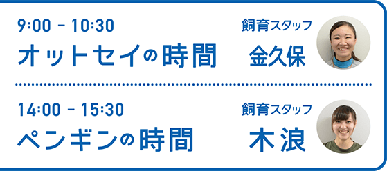 9:00-10:30 オットセイの時間 飼育スタッフ 金久保・14:00-15:30 ペンギンの時間 飼育スタッフ 木浪