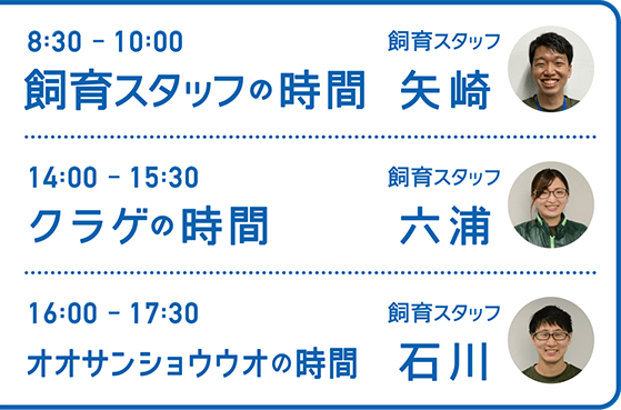 8:30-10:00 飼育スタッフの時間 飼育スタッフ 矢崎・14:00-15:30 クラゲの時間 飼育スタッフ 六浦・16:00-17:30 オオサンショウウオの時間 飼育スタッフ 石川