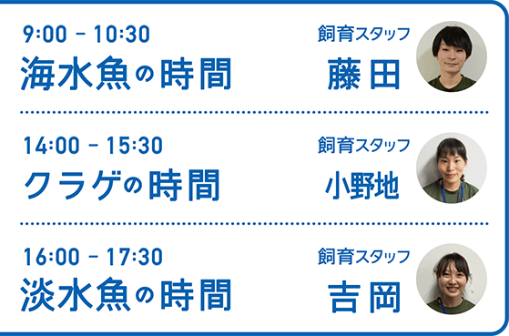 9:00-10:30 海水魚の時間 飼育スタッフ 藤田・14:00-15:30 クラゲの時間 飼育スタッフ 小野地・16:00-17:30 淡水魚の時間 飼育スタッフ 吉岡