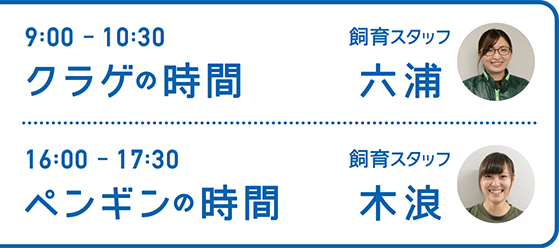 9:00-10:30 クラゲの時間 飼育スタッフ 六浦・16:00-17:30 ペンギンの時間 飼育スタッフ 木浪