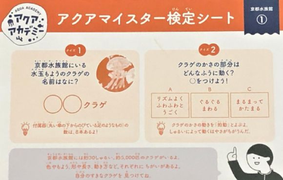 観察してクイズに挑戦する検定シート