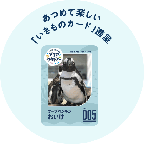 あつめて楽しい「いきものカード」