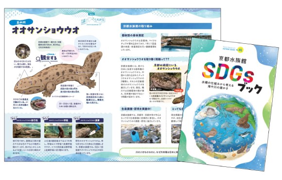 SDGsブックの写真