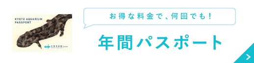 お得な料金で、何回でも！年間パスポート