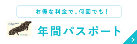 お得な料金で、何回でも！年間パスポート