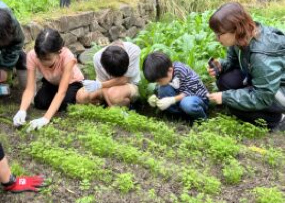 京の里山教室2024～冬の野菜を一緒に作ろう編～ <br>野菜の植え付けから収穫までを行いました！