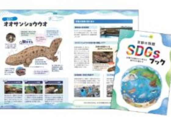 夏休みの勉強や校外学習にもぴったり<br>「京都水族館SDGsブック」でいきものと自然の未来を考えよう！