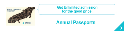 Get unlimited admission for the good price! Annual Passports
