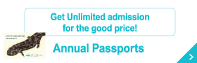 Get unlimited admission for the good price! Annual Passports