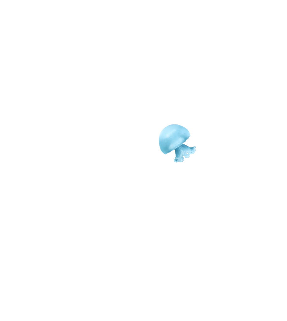 京都クラゲ研究部 部員大募集！は、終了しました。エリアのご紹介は以下をご参照ください。https://www.kyoto-aquarium.com/floor/