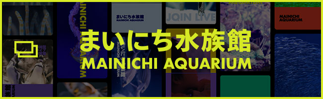 まいにち水族館 MAINICHI AQUARIUM