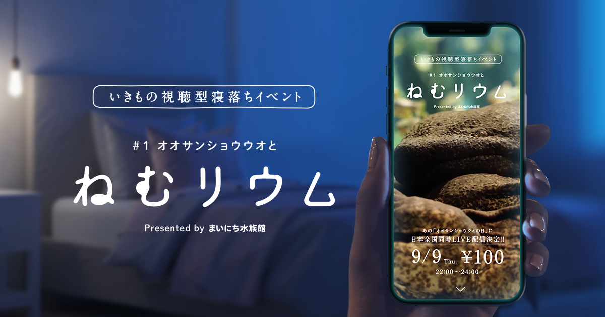 オオサンショウウオとねむリウム｜参加型ライブ水族館「まいにち水族館」｜すみだ水族館・京都水族館