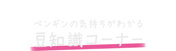 ペンギンの気持ちがわかる豆知識コーナー