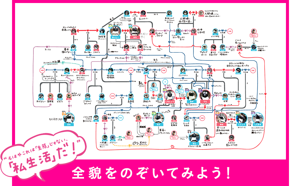 全貌を見てみよう