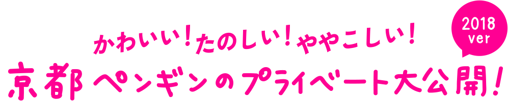 かわいい！たのしい！ややこしい！すみだペンギンのプライベート大公開！