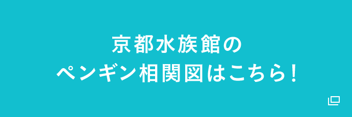 すみだ水族館のペンギン相関図はこちら