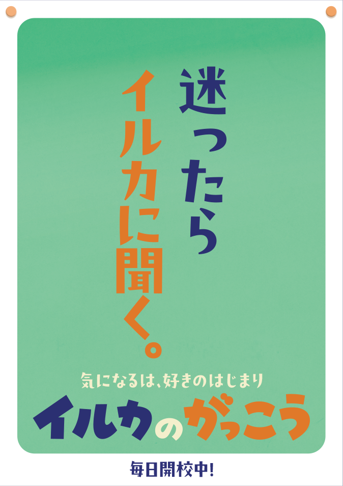 迷ったらイルカに聞く。