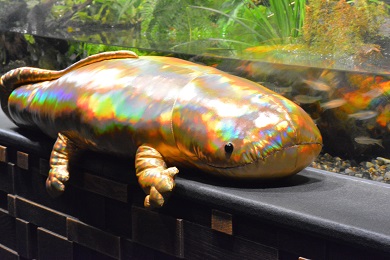 オオサンショウウオ ぬいぐるみ LLサイズ 京都水族館 AQUARIUM