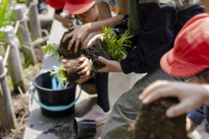 ミズノトラノオを植える子どもたち